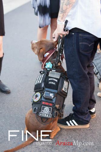 Photo by AraizaMP.com