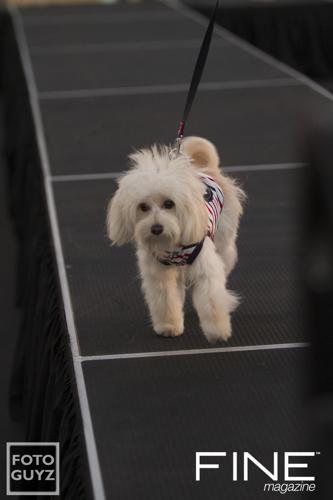 Photos by Will Grayson of Foto Guyz