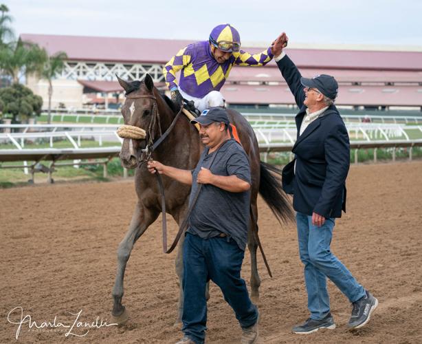 Justique, the Unveiling of a Star