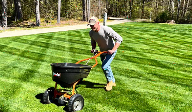 Lawn Fertilization Techniques That Work