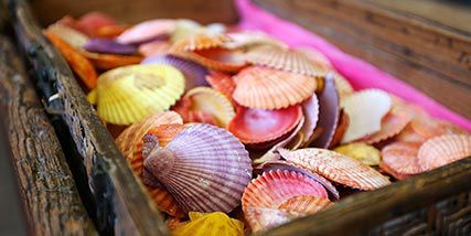 Review: Sunny Jim's Sea Cave Store in La Jolla
