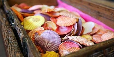 Review: Sunny Jim's Sea Cave Store in La Jolla