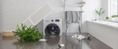 Uncovering the Costly Consequences of Toronto Water Damage