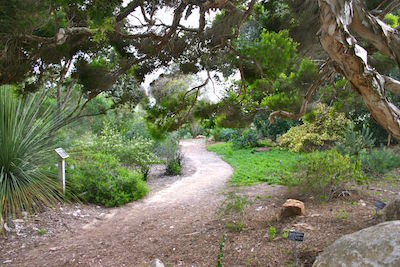 U.S. Military Personnel and Families Admitted FREE to San Diego Botanic Garden