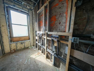 Mold Remediation Versus Mold Removal: Understanding the Difference