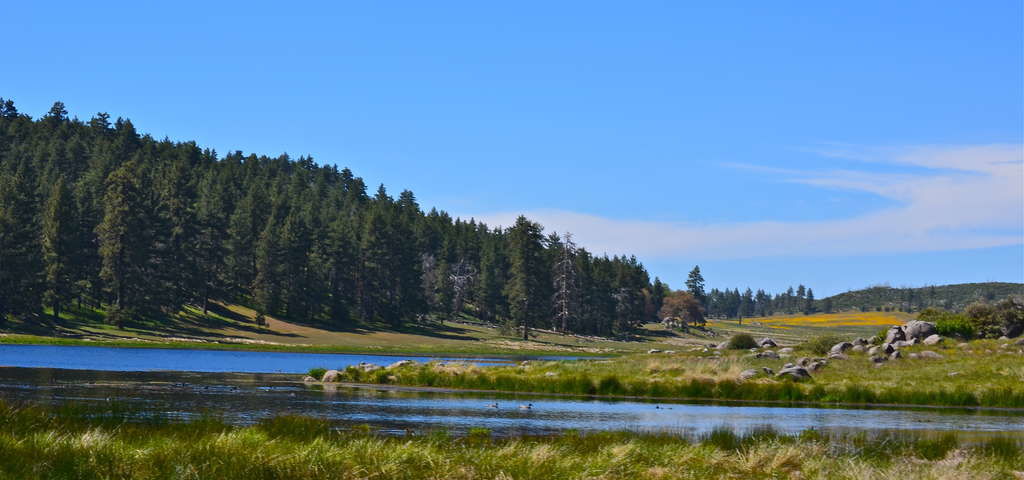 San Diego’s Secret Spots to See