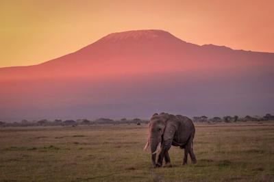 ​​Interesting Information and Facts About Mount Kilimanjaro