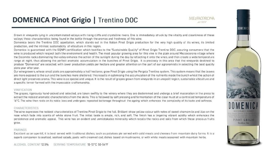 A Toast to Italian Elegance for Thanksgiving Gatherings