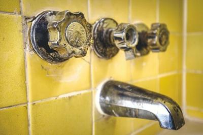 Tips for Updating Your Bathroom in Your Aging Florida Home