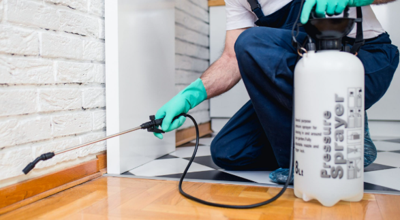 Pest Control Isn’t Just Chemicals — It’s Understanding Insect Behavior Room by Room