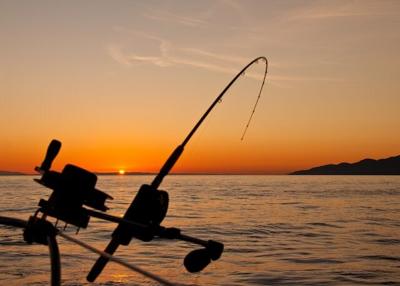 Top 5 Fishing Charter Destinations for an Unforgettable Angling Experience