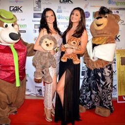 2015 Teddy Bear Ball
