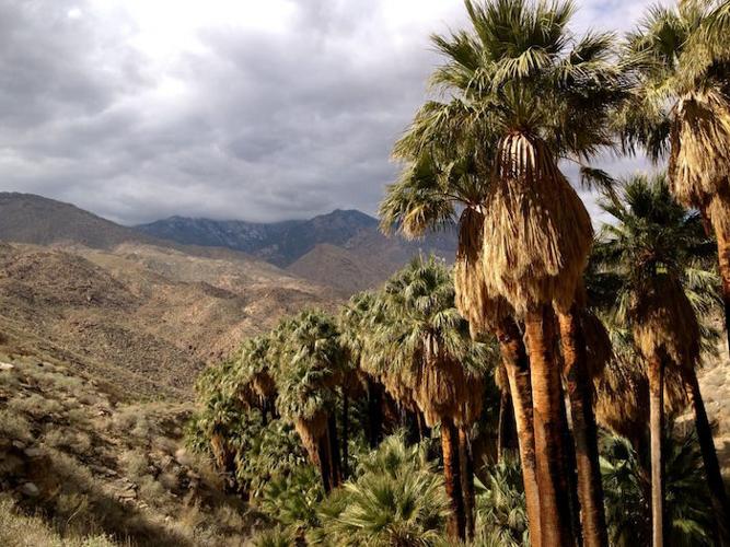 A Guide to Palm Springs