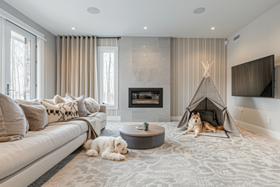 How Often Should You Vacuum Your Carpet When You Have Pets?