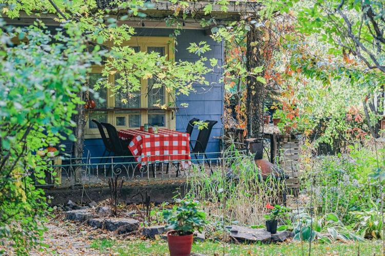When a Garden Feels Alive: How Birds Elevate Outdoor Living