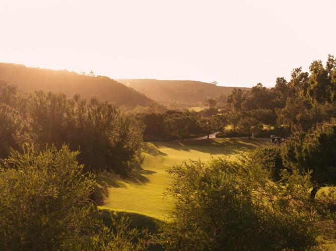 Luxurious San Diego Staycation