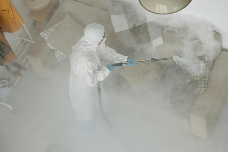 The Silent Saboteurs: How Pests Devalue Beautiful Homes