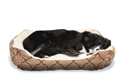 Factors To Consider Before Buying A Dog Bed