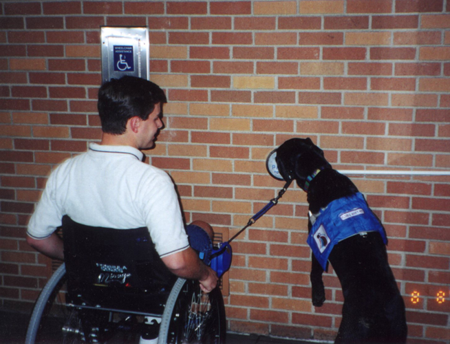 Service Animal Registration and ADA Rules Explained