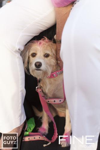 Photos by Will Grayson of Foto Guyz