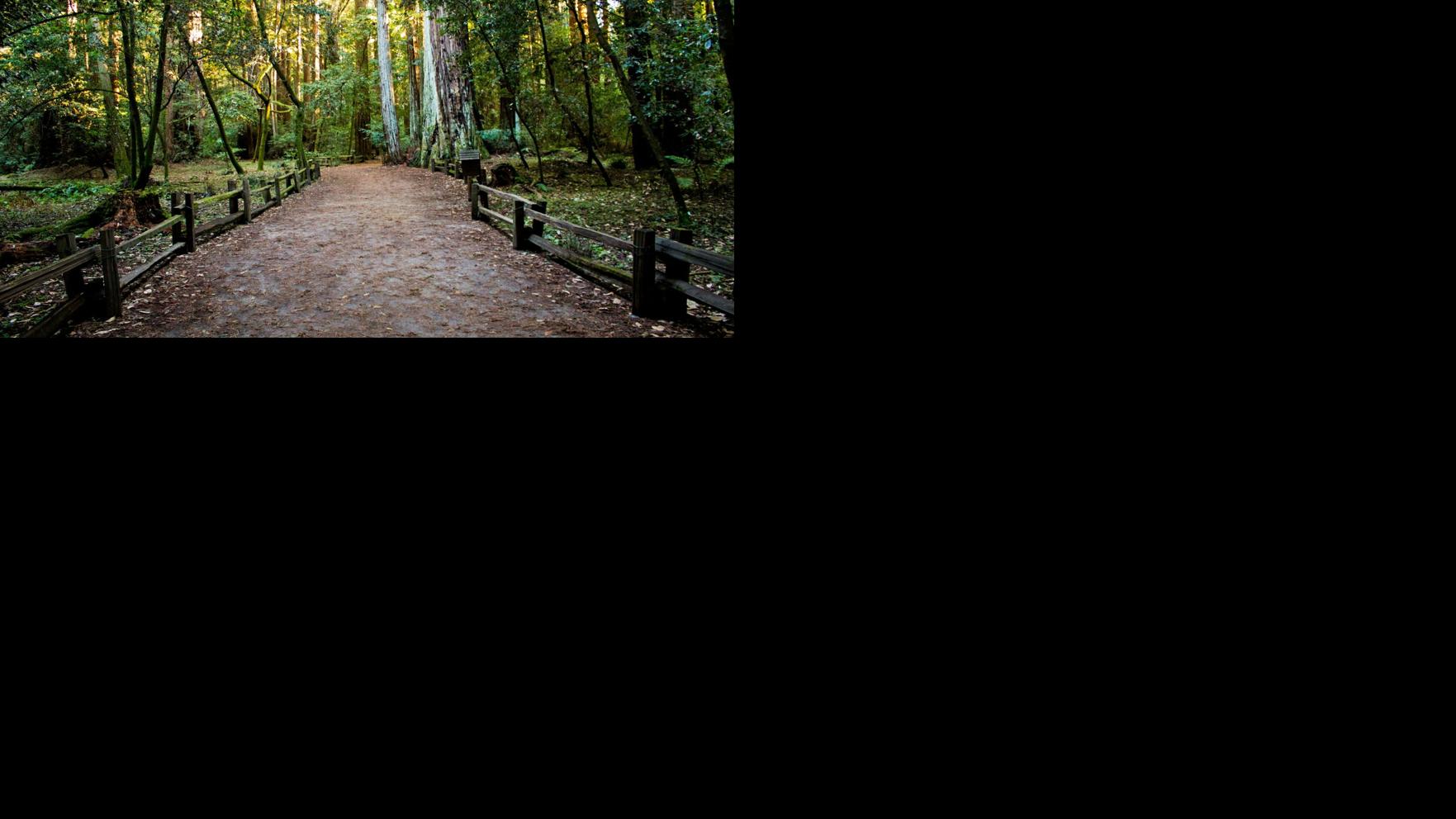 Outdoor Education: Benefits of Learning Beyond the Classroom Walls