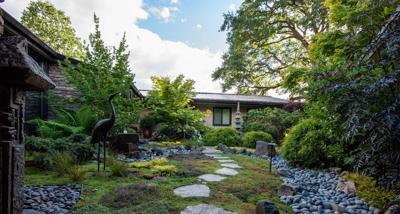 Family-Friendly Ways to Create More Privacy in Your Backyard