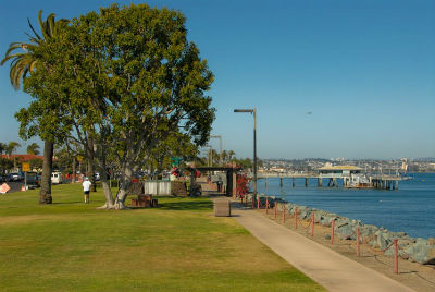 Exploring Harbor Island