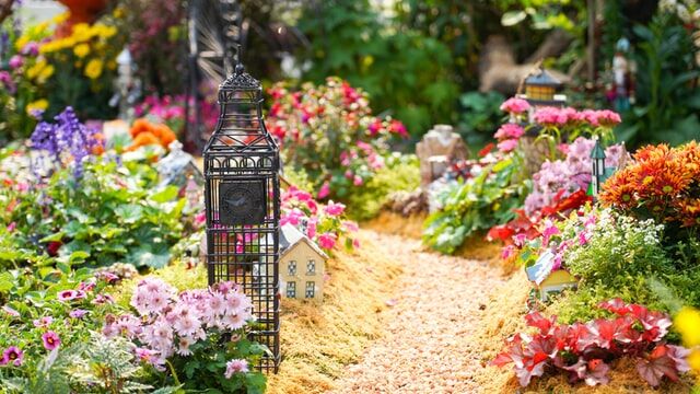 Expert Tips for Creating a Relaxing Garden