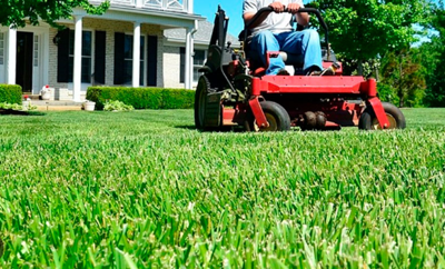 Why Experts Predict a Surge in Lawn Care Demand
