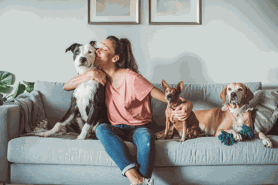 Pet Care