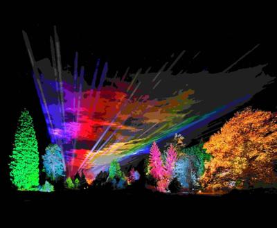 Light Up Date Night with an Escape to San Diego Botanic Garden