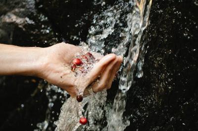 Services Provided By A Reputed Water Filter Company