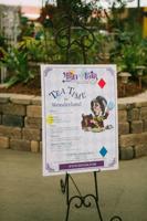 San Diego County Fair