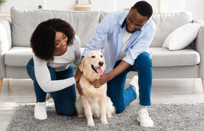 6 Essential Steps to Prepping Your Home for a New Pet