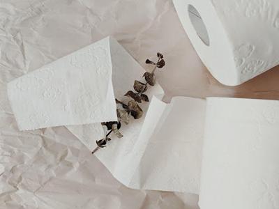 Recycled Eco-Friendly Toilet papers