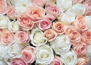 Pink and White Roses: Honoring the Memories of Loved Ones