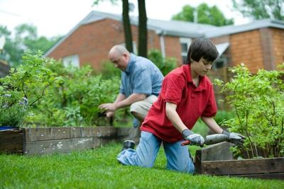 The Top 5 Trending Backyard Landscape Themes