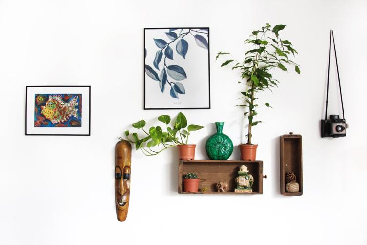 Plant wall hangings are a great way to incorporate nature