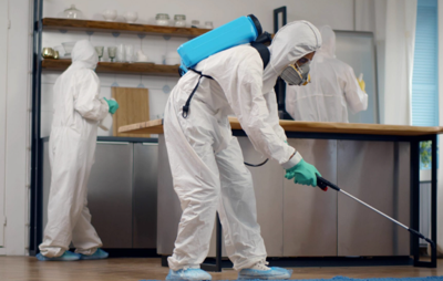 The 5 Best Pest Control Companies in Winnipeg (2026 Rankings)