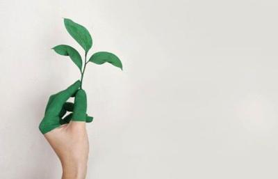 Start Living Sustainably — Here’s How