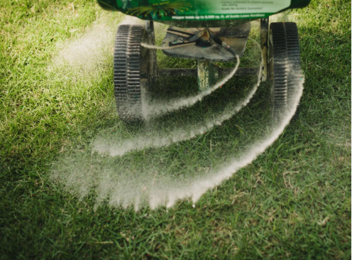 Lawn Fertilization Techniques That Work