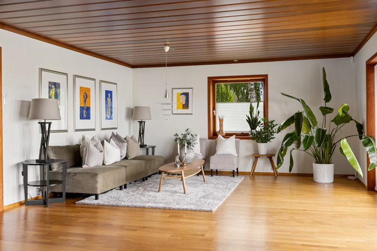 Interior Design Secrets Kiwis Swear By