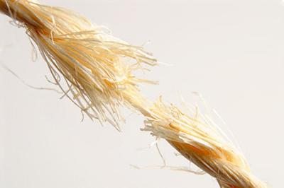 Get The Winning Edge: Stress Free!