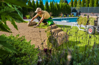 Questions to Ask Before Hiring a Landscaper