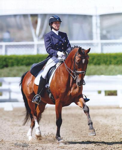 Horseback Riding Provides Physical And Mental Benefits