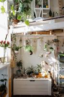 Maximizing Small Spaces: Tips and Tricks for Making the Most Out of Small Living Spaces