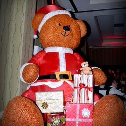 2015 San Diego's The Teddy Ball