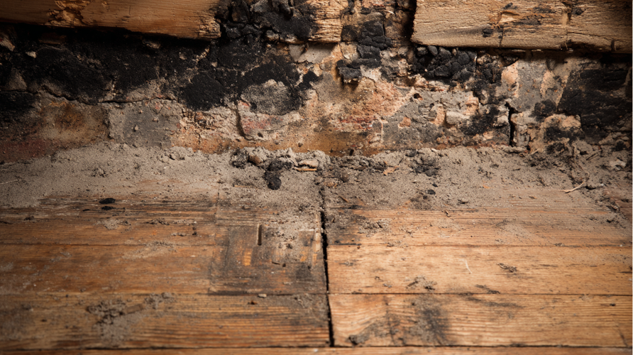 What Does Sealing Mean in a Fire Restoration? A Guide to Structural Planning and Fire Restoration