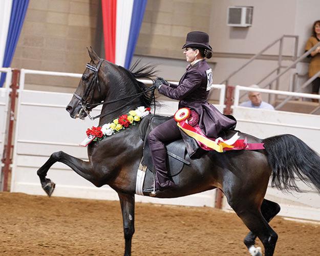 Horseback Riding Provides Physical And Mental Benefits