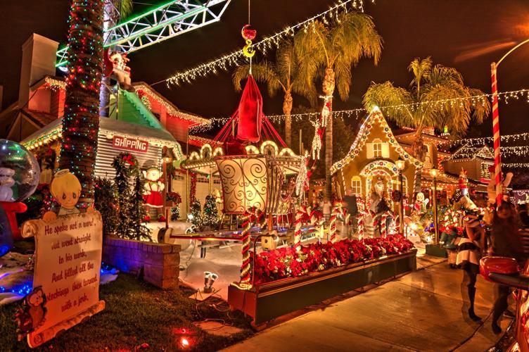 Best Winter activities in San Diego